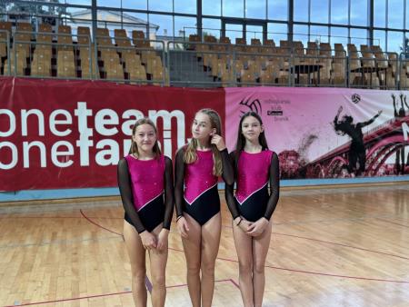 Gimnastičarji ŠD Partizan Ravne  (4)